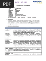 PLAN TRABAJO SEMANAL (Semana 11) 15-06 - Santos