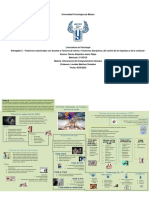 Entregable 2 - Infografía