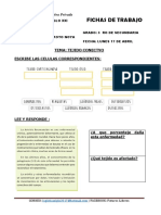 Formato Fichas De3ro de Secundaria 17 de Abril