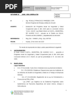 Evaluación Del Programa Anual de Seguridad y Salud Ocupacional para El Año 2020 para La Concesión Minera "U.E.a. AQUIA"