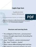 Cogito Ergo Sum: Psymsc3A Kog Sabine Windmann