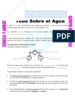 Ficha Todo Sobre El Agua para Quinto de Primaria