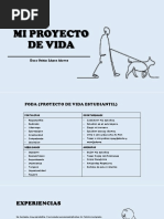 Mi Proyecto