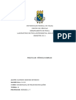 Universidade Federal Do Ceará Centro de Ciências Departamento de Física Laboratório de Física Experimental para Engenharia SEMESTRE 2022.1