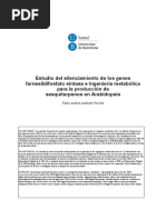 Estudio Del Silenciamiento de Los Genes Farnesildifosfato Sintasa e Ingeniería Metabólica para La Producción de Sesquiterpenos en Arabidopsis