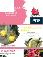 Lista de Precios Por Cada Esqueje de Pitahaya