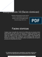 Interpretación 3d (Facies Sísmicas)