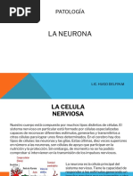 Patologia-La Neurona