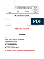 Module 5 Psychomotricité: La Surdité - Cours 2