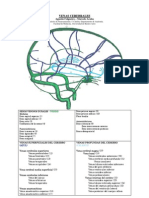 Venas Cerebrales