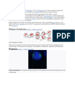 CITOSIS