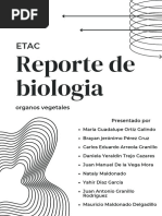 Reporte de Biologia: Organos Vegetales