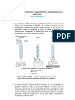 Cromatografía de Exclusión Molecular