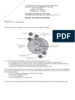 Prueba de Ciencias Naturales: Pruebas Periodicas Tipo Icfes