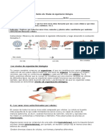 Instrucciones: Observa y Lee Atentamente La Siguiente Información y Luego Desarrolla La Evaluación Formativa 1