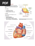 CORAZON