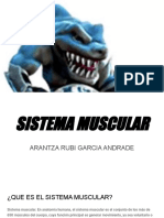 Sistema Muscular