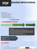 Enfermedades Infecciosas - T3