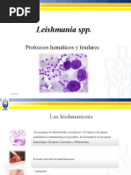 Leishmania SPP.: Protozoos Hemáticos y Tisulares