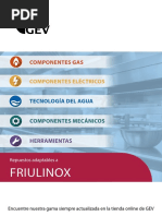 Friulinox: Componentes Gas