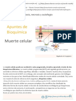 Muerte Celular: Apoptosis Necrosis y Autofagia: (Https://tienda - Elsevier.es/bioquimica-Medica-9788491134060.html)