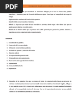 6 - Fecundacion, Desarollo Del Embrion, Fisiologia Del Feto y La Placenta