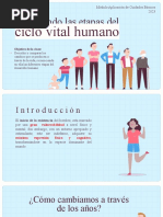 Explorando Las Etapas Del: Ciclo Vital Humano