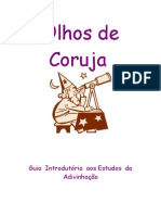 Olhos de Coruja