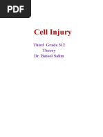 Cell Injury: Third Grade 312 Theory Dr. Batool Salim