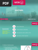 Sistema Cardiovascular, Estructura y Componentes Del Corazon, Vasos Sanguines, Arteriasetc, Sangre, Plasma Celulas Sanguineas