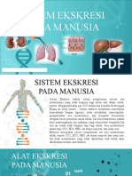 Media Pembelajaran - Sistem Ekskresi - Marnita Lestari - 1800008032