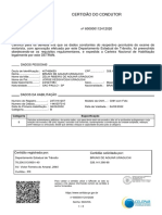 Certidão Do Condutor: Dados Pessoais