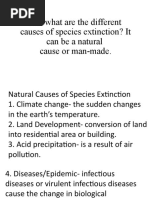 But What Are The Different Causes of Species Extinction? It Can Be A Natural Cause or Man-Made