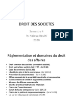 Droit Des Societes: Semestre 4 Pr. Najoua Rouini 2020