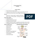 Anatomi Fisiologi Sistem Endokrin