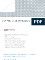 Dna and Gene Expression