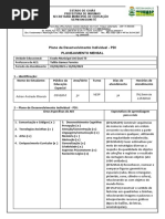 Plano de Desenvolvimento Individual - PDI Planejamento Mensal