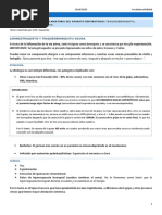 Seminario 4. Traqueobronquitis, Bronquiectasias y Hemoptisis