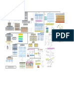 Mapa Conceptual Semana 4