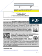 CP2 - DR4 - Ficha Global N.º2 Com Perg