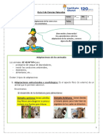 Guía 4 de Ciencias Naturales: 4° - Conocer Las Adaptaciones de Los Seres Vivos (Animales) en Los Ecosistemas