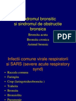 Sindromul Bronsitic Semiologie