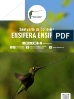 Santuario de Colibríes: Ensifera Ensifera