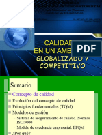 Calidad Total PPT