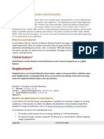 Global Feature?: Local Feature Detection and Extraction