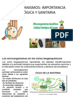 Microorganismos: Importancia Ecológica Y Sanitaria