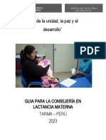 "Año de La Unidad, La Paz y El Desarrollo": Guia para La Consejería en Lactancia Materna Tarma - Perú 2023