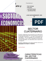 Exposición Del Sector Cuaternario y Quinario