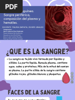 Fisiológica Sanguínea - 1