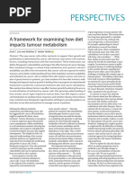 A Framework For Examining How Diet Impacts Tumour Metabolism